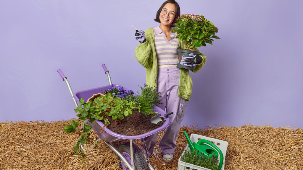Warum der Online-Kauf von Gartenprodukten eine hervorragende Idee ist